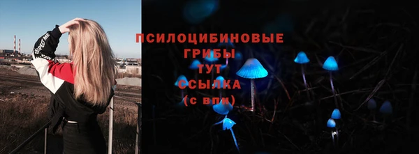 сатива Нефтегорск