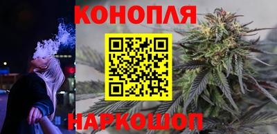 шишки Кинель