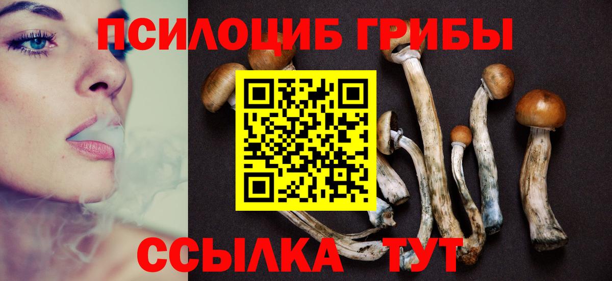 Ялта  Галлюциногенные грибы прущие грибы  купить закладку  Вход с VPN  Псилоцибиновые грибы Psilocybe 