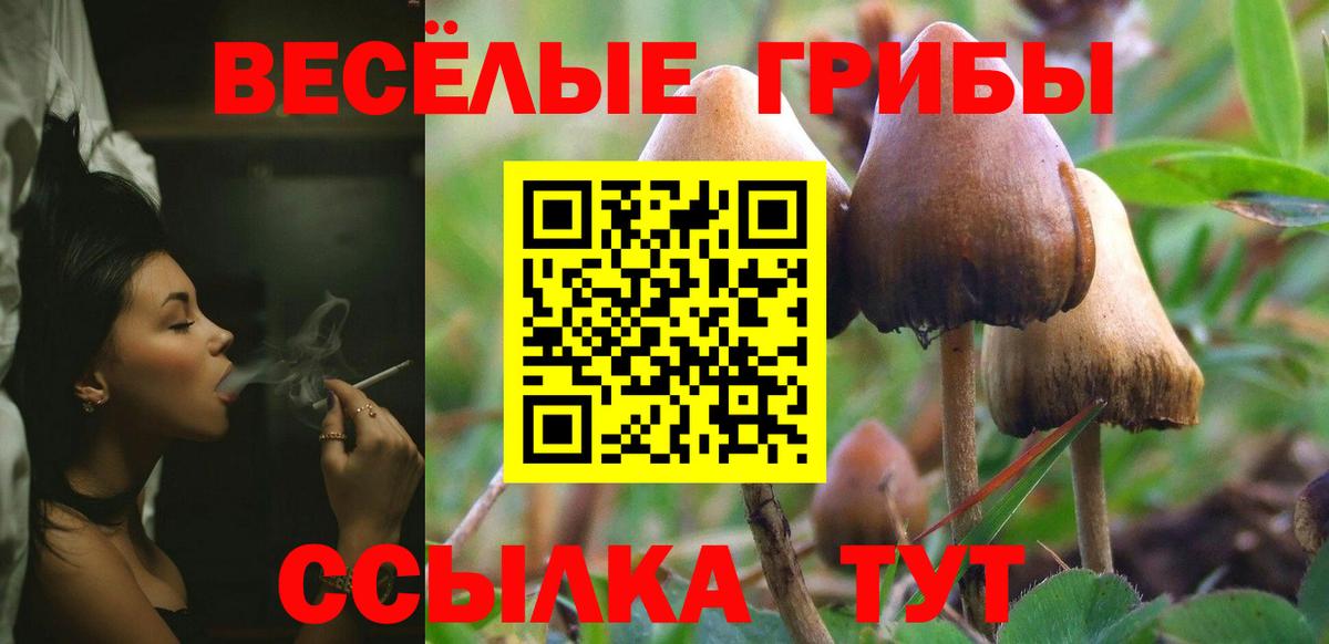 Псилоцибиновые грибы мухоморы Ялта